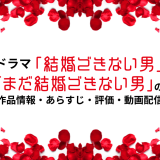 ドラマ「結婚できない男」「まだ結婚できない男」の作品情報・あらすじ・評価・動画配信