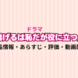 ドラマ「逃げるは恥だが役に立つ」の作品情報・あらすじ・評価・動画配信