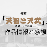 漫画「天智と天武-新説・日本書紀-」の作品情報と感想