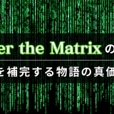 Enter the Matrixの評価｜映画を補完する物語の真価は？