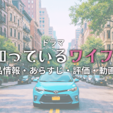 国内ドラマ「知ってるワイフ」の作品情報・あらすじ・評価・動画配信