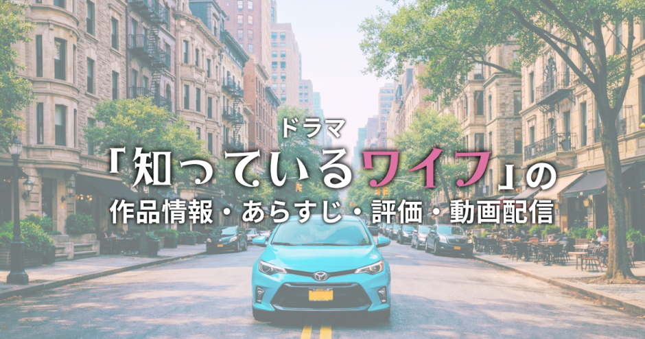 国内ドラマ「知ってるワイフ」の作品情報・あらすじ・評価・動画配信